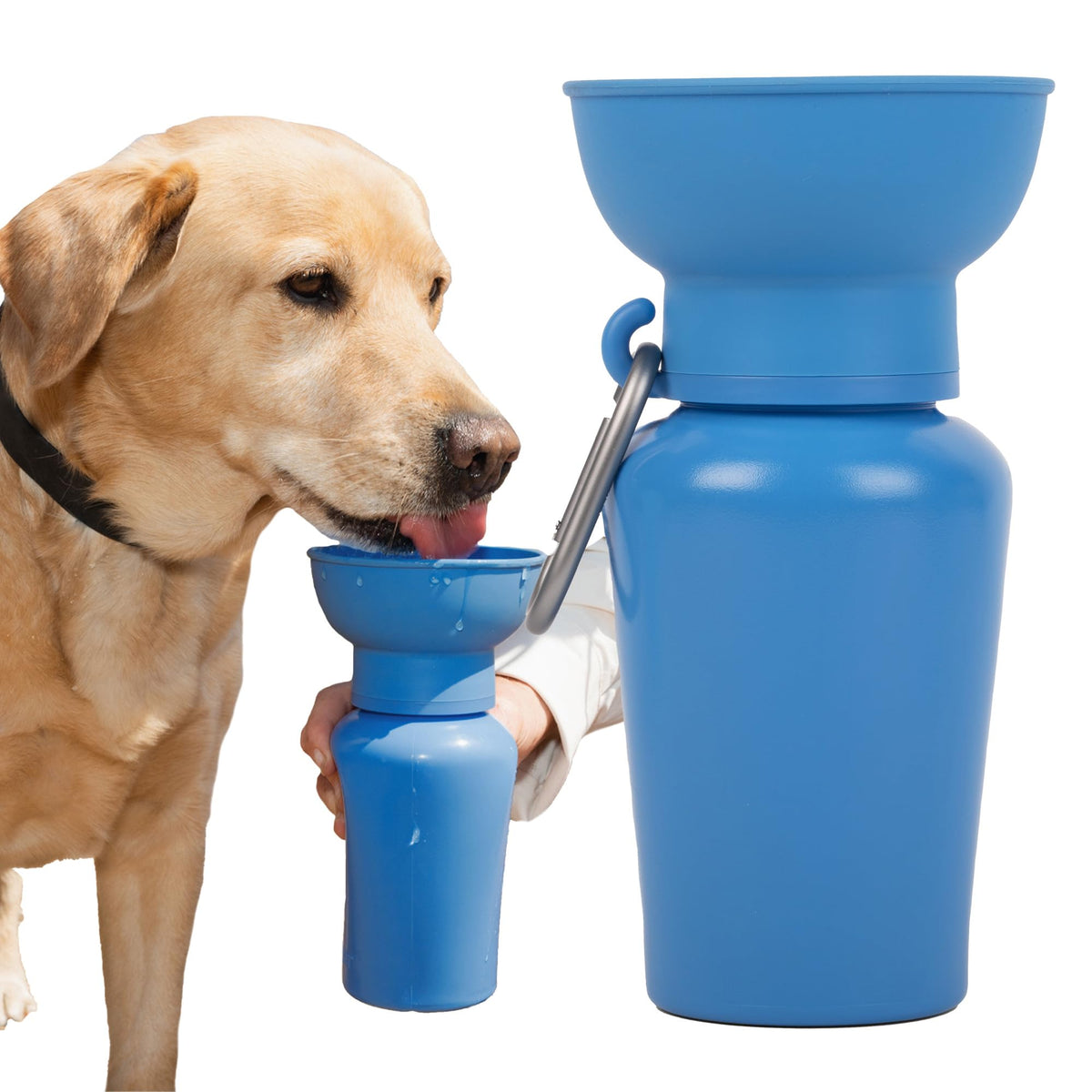 Springland 22oz Classic Portable Dog Water Bottle with Built-in Bowl,Indigo