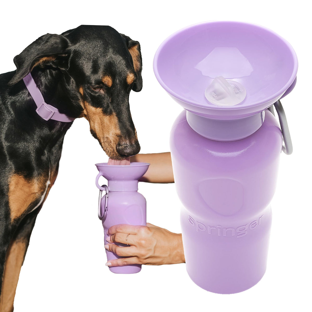 Springland 22oz Classic Portable Dog Water Bottle with Built-in Bowl,Indigo